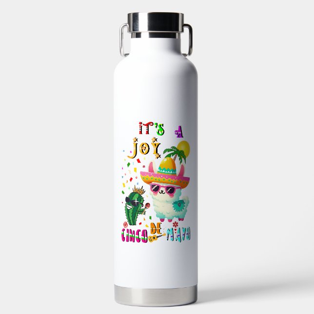 Es ist eine Freude Cinco De Mayo Trinkflasche (Vorderseite)