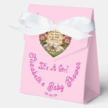 Es ist eine Geschenkbox für eine Babyparty für ein