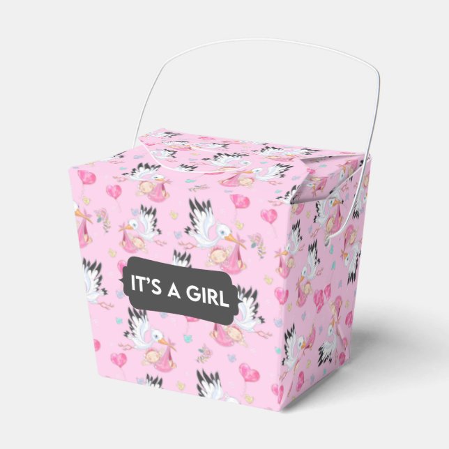 Es ist eine Girl Stork Baby Gevor Box Geschenkschachtel (Vorderseite)