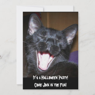 Es ist eine Halloween-Party Cat Einladung
