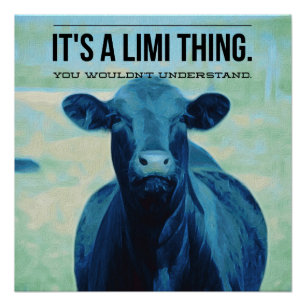 Es ist eine Limousin-Sache, die Sie nicht Poster