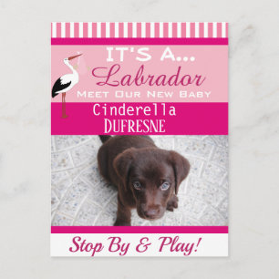 Es ist eine "New Pet"-Ankündigung Postkarte