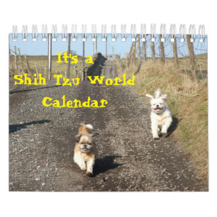 Es ist eine schiitische Tzu-Welt Kalender