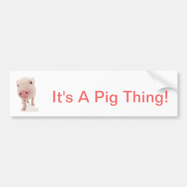 Es ist eine Schwein-Sache Autoaufkleber (Vorne)