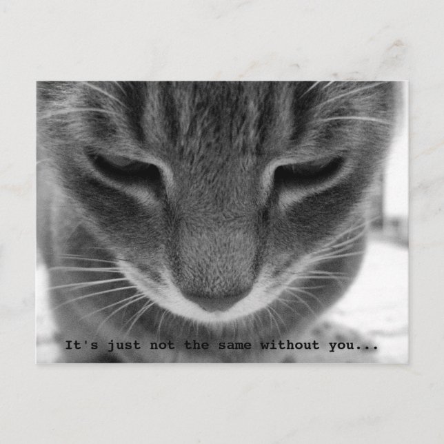 Es ist einfach nicht dasselbe ohne dich... postkarte (Vorderseite)