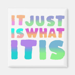 Es ist einfach so, wie es ist Lustiger Spruch Magnet