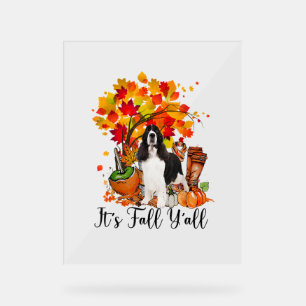 Es ist Fall Y'all Springer Spaniel Hund Halloween Acrylschild