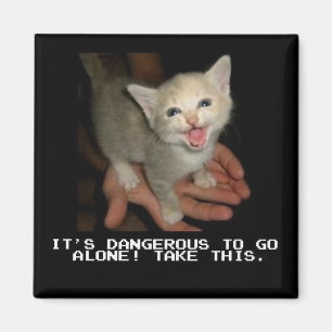 Es ist gefährlich, allein zu gehen magnet