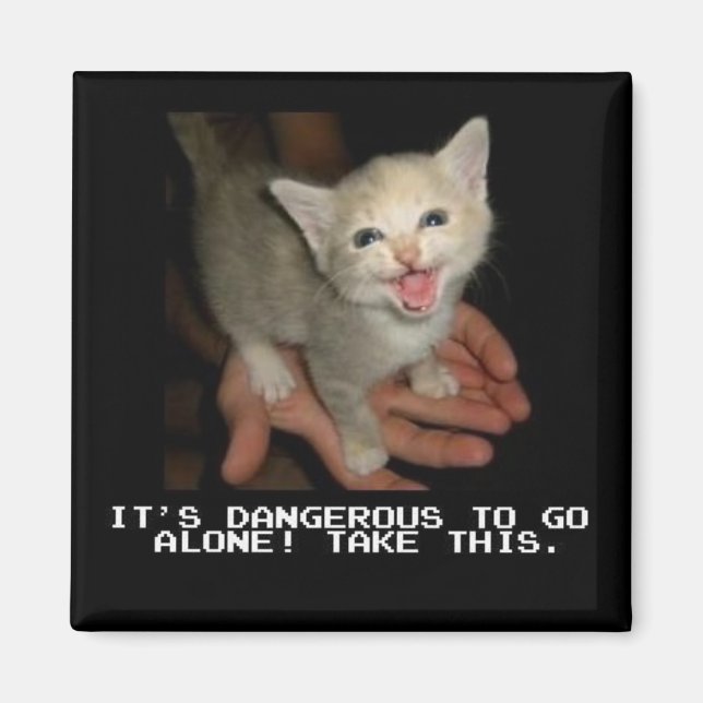 Es ist gefährlich, allein zu gehen magnet (Vorne)