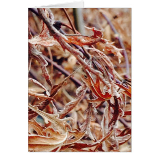 Es ist Herbst, ich denke an dich..