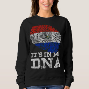 Es ist in meinem Vintagen Paraguay-Nationalflagge Sweatshirt
