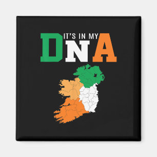 Es Ist In Meiner DNA Irland Irische Flagge Geschen Magnet