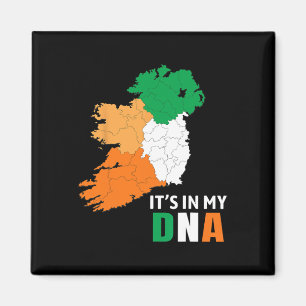 Es Ist In Meiner Dna Irland Irische Flagge Geschen Magnet