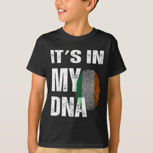 Es Ist In Meiner Dna Irland Irische Flagge Geschen T-Shirt