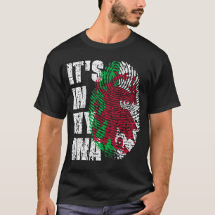 ES IST IN MEINER DNA Wales Flag Walish T-Shirt