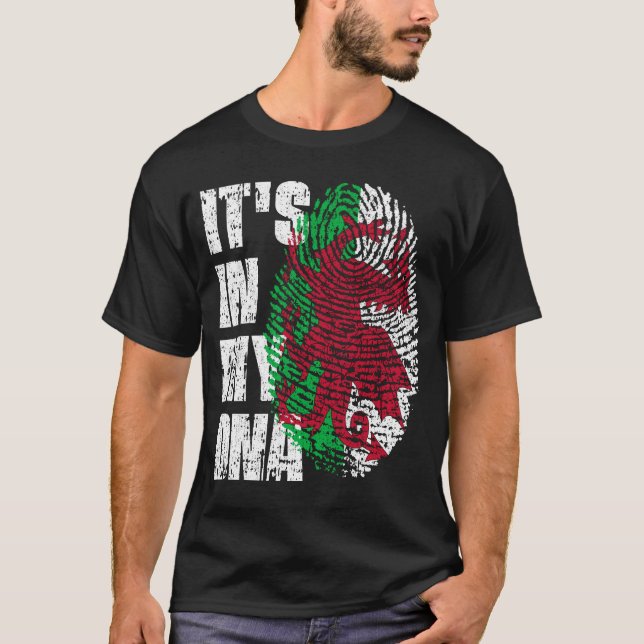 ES IST IN MEINER DNA Wales Flag Walish T-Shirt (Vorderseite)