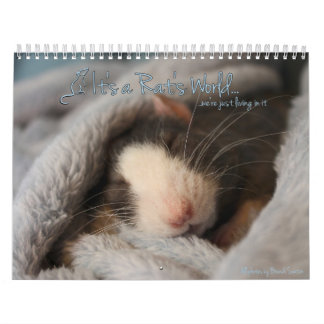Es ist Kalender einer Ratte Welt