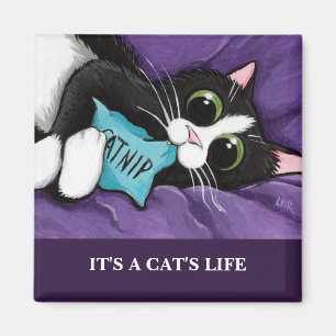 Es ist Katzen-Kunst-Magnet einer Katze des Leben- Magnet