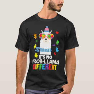 Es Ist Kein Problama Verschiedene Autistische Auti T-Shirt