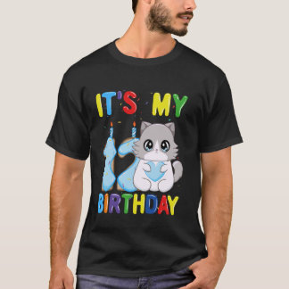 Es ist mein 12. Geburtstag Junge 12 Jahre alte Rag T-Shirt