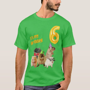 Es ist mein Geburtstag, 6. niedlicher Hamster T-Shirt
