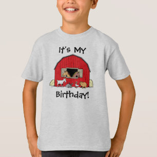 Es ist mein Geburtstag Jugend Scheune und Tiere T- T-Shirt