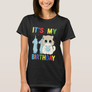 Es ist meine 11. Geburtstagskatze 11 Jahre alte Ra T-Shirt