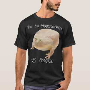 Es ist Mittwoch meine Typ Funny Classic Frog Meme  T-Shirt