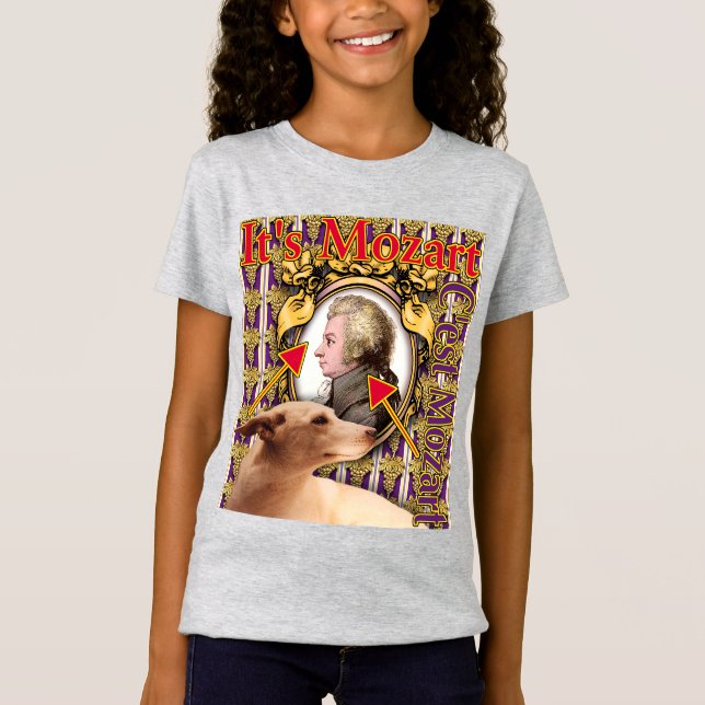 Es ist Mozart-T - Shirt (Vorderseite)