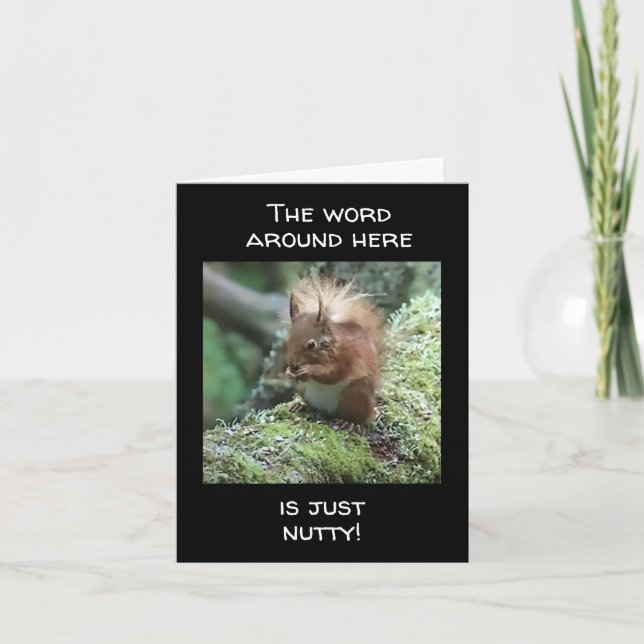 ES IST NUR "NUTTY", DASS U NICHT "40" WÄHLEN KANN KARTE (Vorderseite)