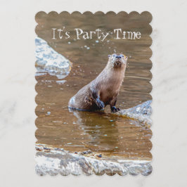 Es ist Party Zeit, Otter, Einladung, Geburtstag, Einladung