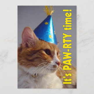 Es ist Paw-rty Zeit Katze - Geburtstagseinladung Einladung