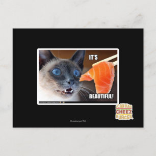 Es ist schön! postkarte