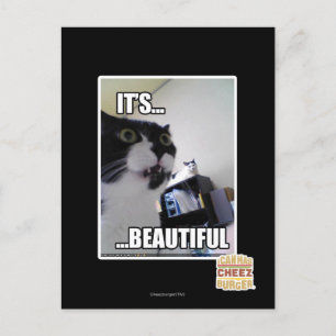 Es ist schön postkarte