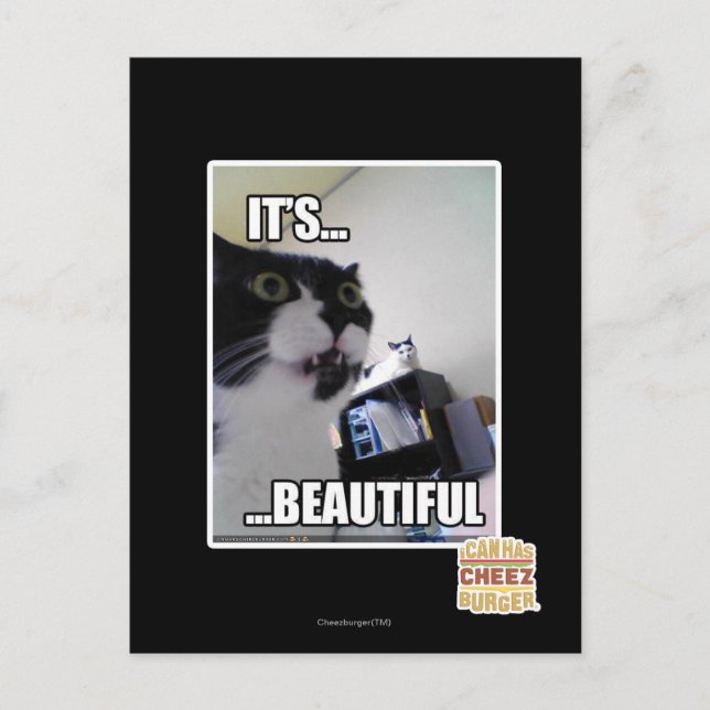 Es ist schön postkarte (Vorderseite)