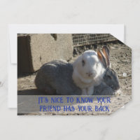 es ist schön zu wissen ...