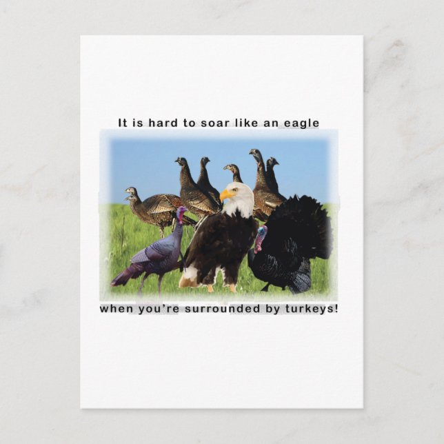 Es ist schwer, sich wie ein Adlerzitat zu erheben Postkarte (Vorderseite)