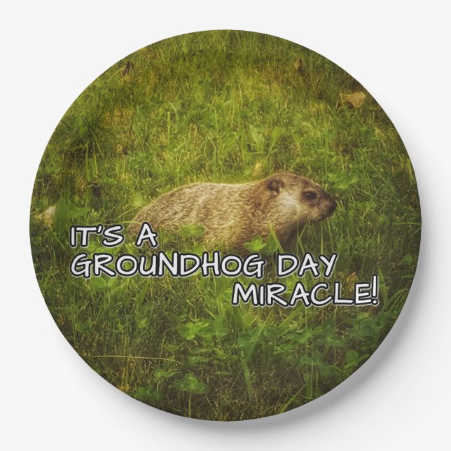 Es ist Teller eines groundhog Tageswunders (Vorderseite)