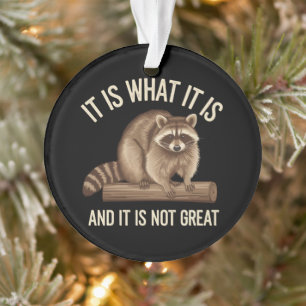 Es ist was es ist und es ist kein großartiges Wasc Ornament