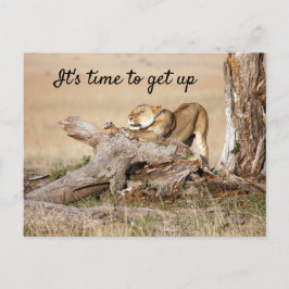 Es ist Zeit, Lion Foto mit Text aufzustehen Postkarte