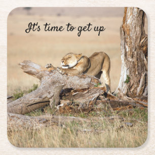 Es ist Zeit, Lion Foto mit Text aufzustehen Rechteckiger Pappuntersetzer