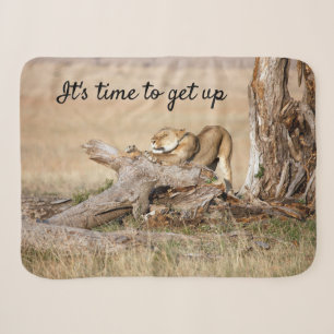 Es ist Zeit, Lion Foto mit Text aufzustehen Sherpadecke