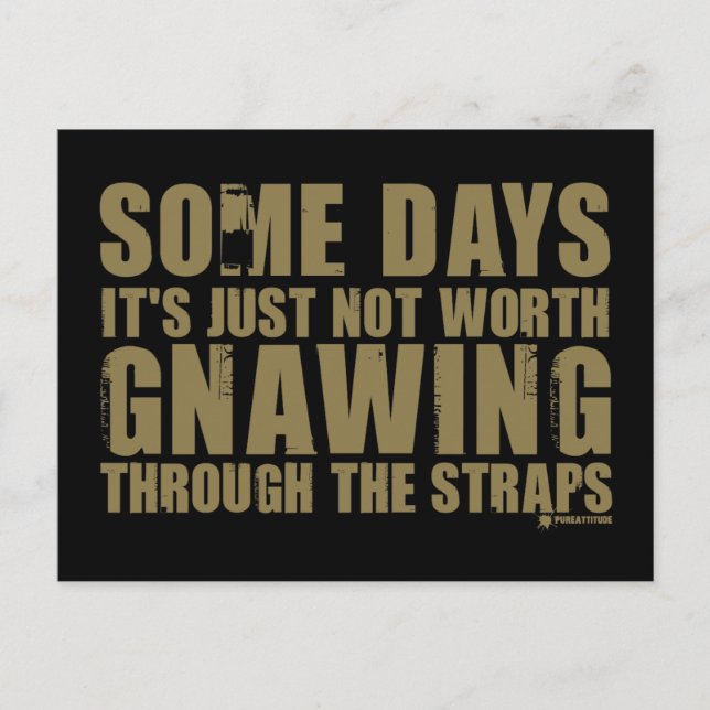 Es lohnt sich nicht, durch die Gurte zu schlucken Postkarte (Vorderseite)