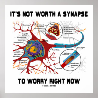 Es lohnt sich nicht, eine Synapse zu machen, um si Poster