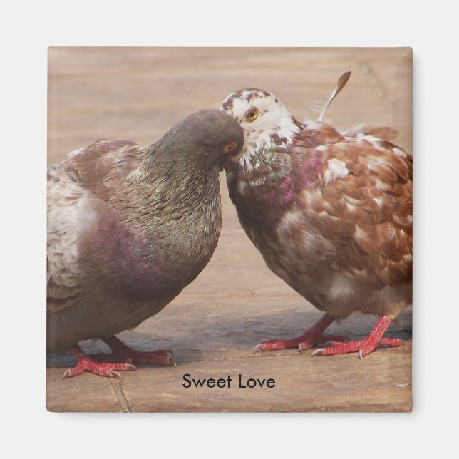 Es muss Liebe sein Magnet (Vorne)