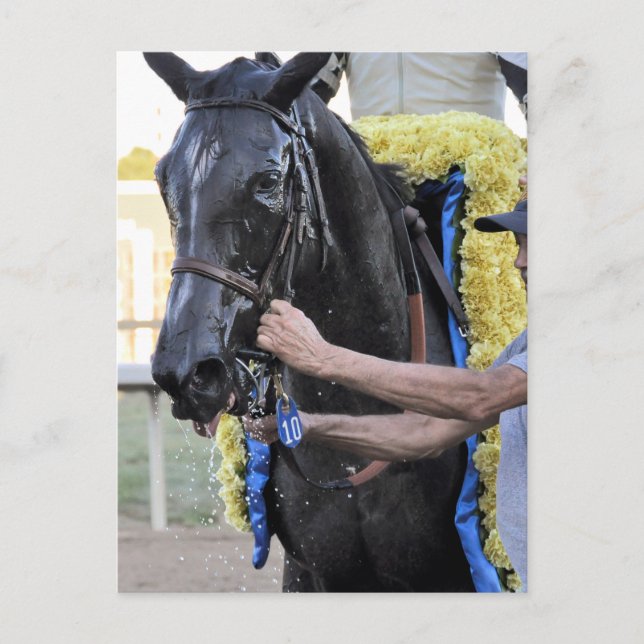 Es Tiz gut, Cotillion Gewinner Postkarte (Vorderseite)