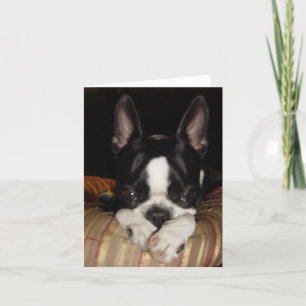 Es tut mir leid Anmerkungskarte Karte