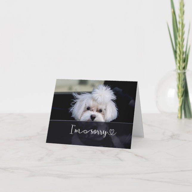 Es tut mir leid, Blank Card Karte (Vorderseite)