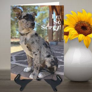 Es tut mir leid Brindle Rindvieh Hund verspäteter Karte