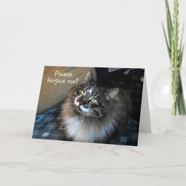 Es tut mir leid, dass die Cat Zorro Card unwiderst Karte (Vorderseite)
